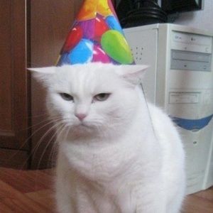 Meet your Posher, Chloe